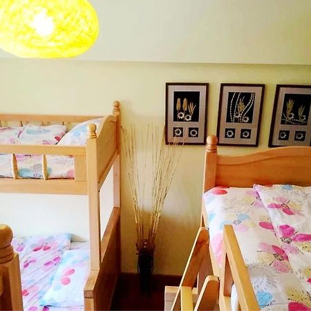 Kunming Cat Nest Female Youth Hostel Eksteriør billede